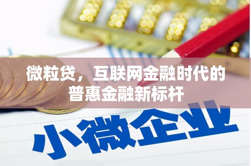 长滨微粒贷，互联网金融时代的普惠金融新标杆