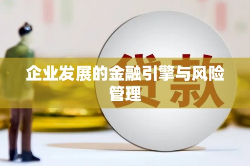 长滨企业发展的金融引擎与风险管理