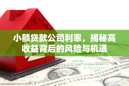 长滨小额贷款公司利率，揭秘高收益背后的风险与机遇