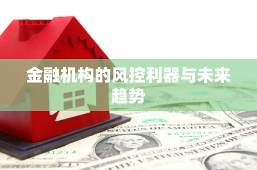长滨金融机构的风控利器与未来趋势