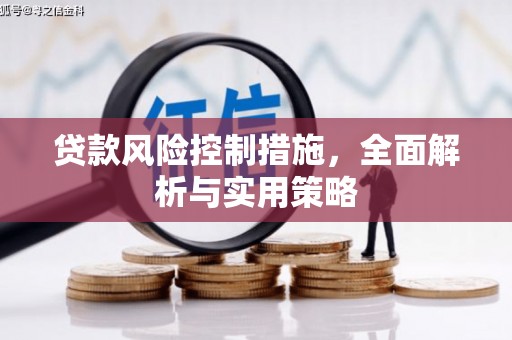 长滨贷款风险控制措施，全面解析与实用策略