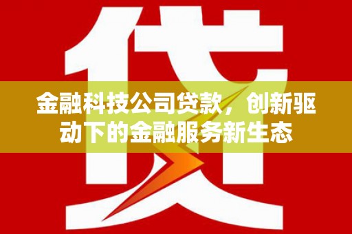 长滨金融科技公司贷款，创新驱动下的金融服务新生态
