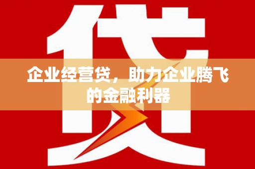 长滨企业经营贷，助力企业腾飞的金融利器