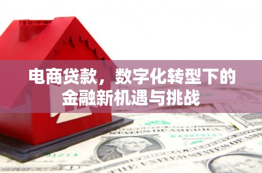 长滨电商贷款，数字化转型下的金融新机遇与挑战