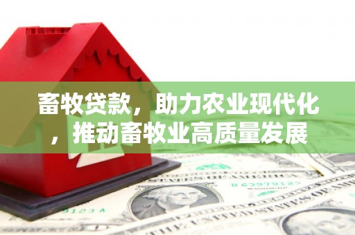 长滨畜牧贷款，助力农业现代化，推动畜牧业高质量发展