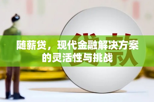长滨随薪贷，现代金融解决方案的灵活性与挑战