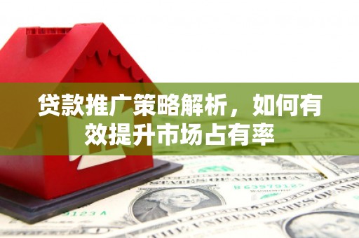 长滨贷款推广策略解析，如何有效提升市场占有率
