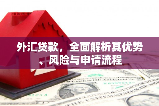 长滨外汇贷款，全面解析其优势、风险与申请流程