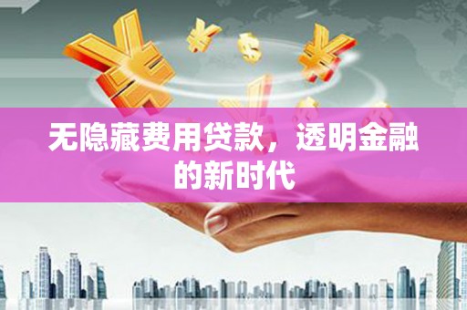 长滨无隐藏费用贷款，透明金融的新时代