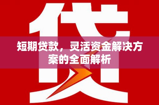 长滨短期贷款，灵活资金解决方案的全面解析