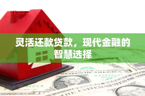 长滨灵活还款贷款，现代金融的智慧选择