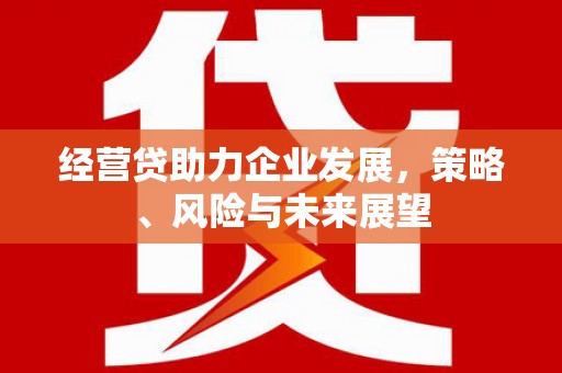 长滨经营贷助力企业发展，策略、风险与未来展望