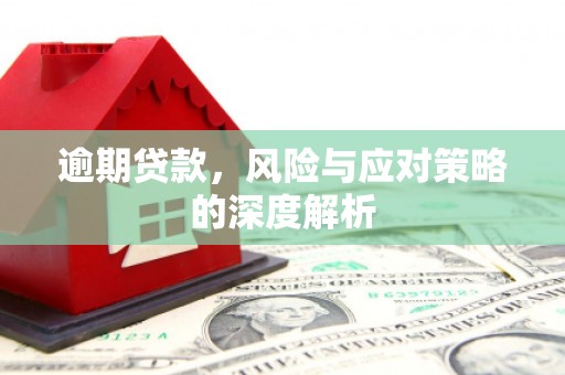长滨逾期贷款，风险与应对策略的深度解析