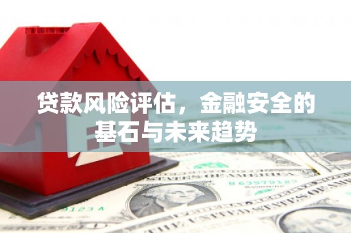 长滨贷款风险评估，金融安全的基石与未来趋势