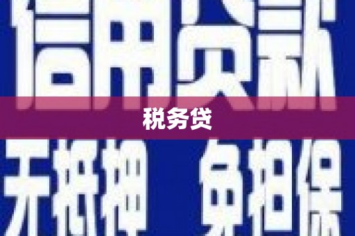 长滨税务贷