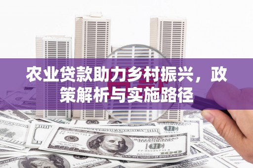 长滨农业贷款助力乡村振兴，政策解析与实施路径
