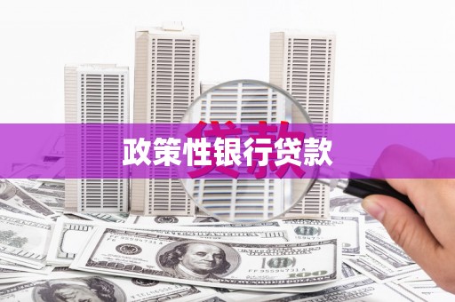 长滨政策性银行贷款