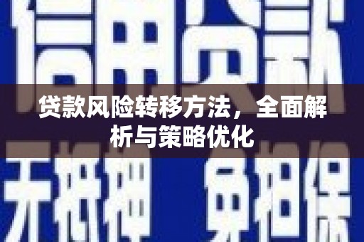 长滨贷款风险转移方法，全面解析与策略优化