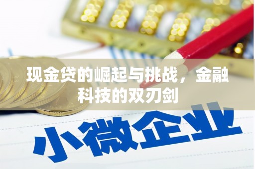 长滨现金贷的崛起与挑战，金融科技的双刃剑