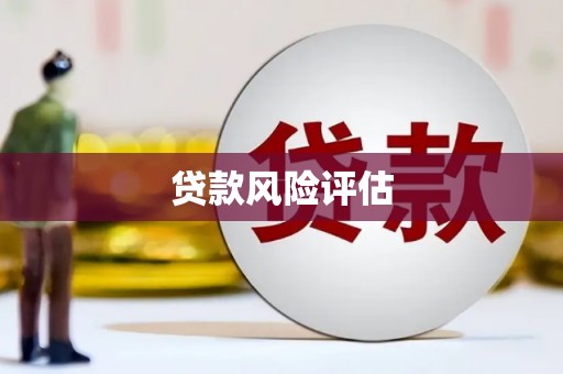 长滨贷款风险评估