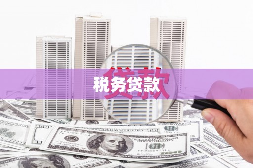长滨税务贷款