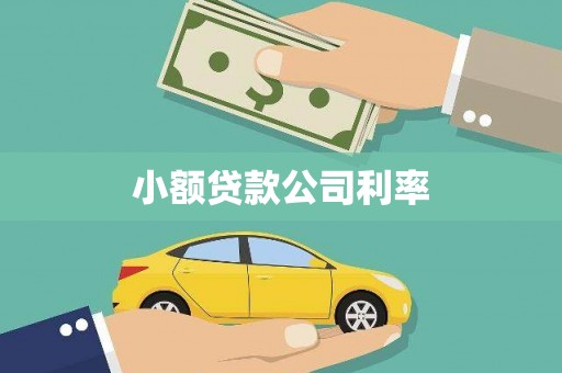长滨小额贷款公司利率