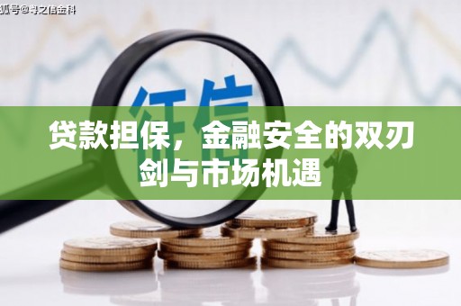长滨贷款担保，金融安全的双刃剑与市场机遇