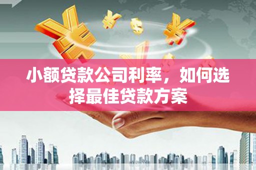 长滨小额贷款公司利率，如何选择最佳贷款方案