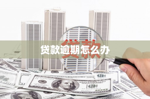 长滨贷款逾期怎么办