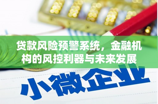 长滨贷款风险预警系统，金融机构的风控利器与未来发展