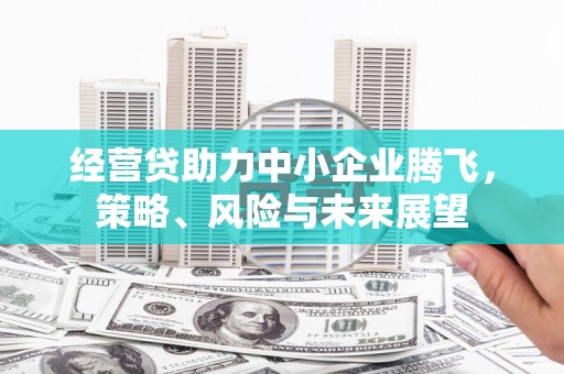 长滨经营贷助力中小企业腾飞，策略、风险与未来展望