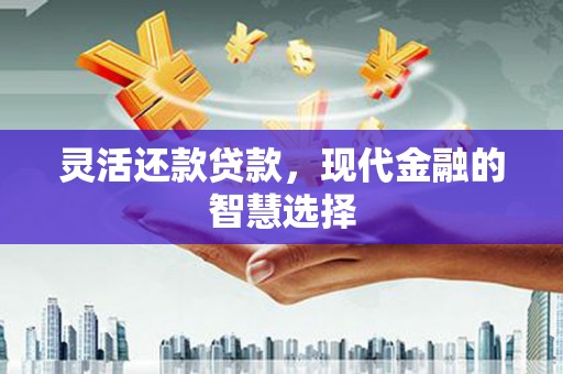 长滨灵活还款贷款，现代金融的智慧选择