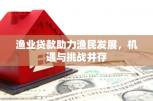 长滨渔业贷款助力渔民发展，机遇与挑战并存