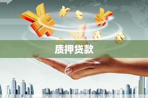 长滨质押贷款