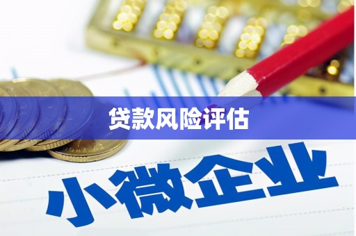 长滨贷款风险评估