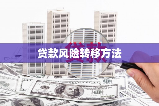 长滨贷款风险转移方法