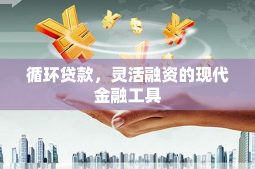 长滨循环贷款，灵活融资的现代金融工具