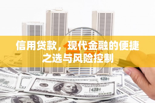 长滨信用贷款，现代金融的便捷之选与风险控制