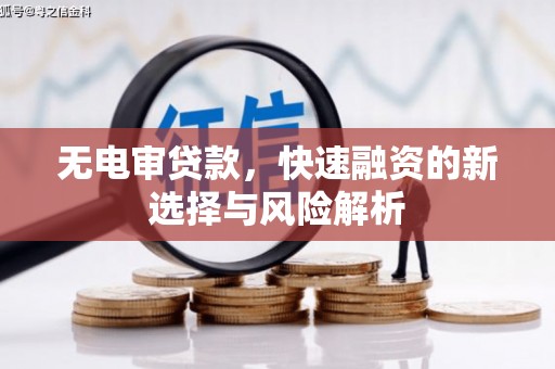 长滨无电审贷款，快速融资的新选择与风险解析