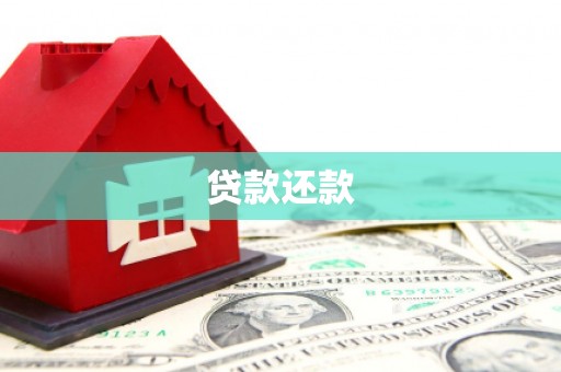 长滨贷款还款