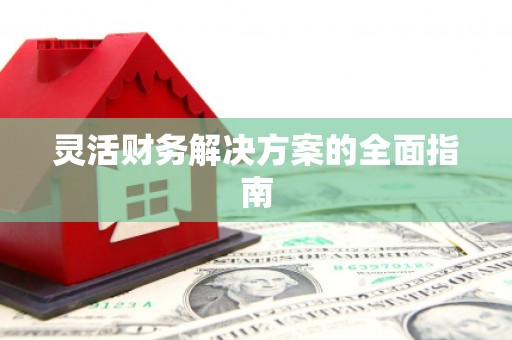 长滨灵活财务解决方案的全面指南