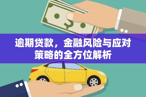 长滨逾期贷款，金融风险与应对策略的全方位解析
