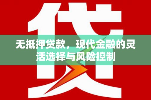 长滨无抵押贷款，现代金融的灵活选择与风险控制