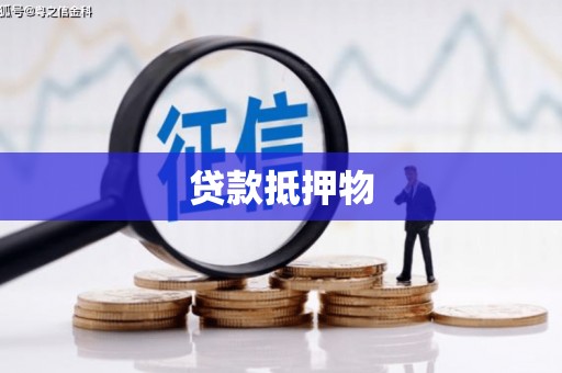 长滨贷款抵押物