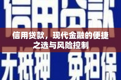 长滨信用贷款，现代金融的便捷之选与风险控制