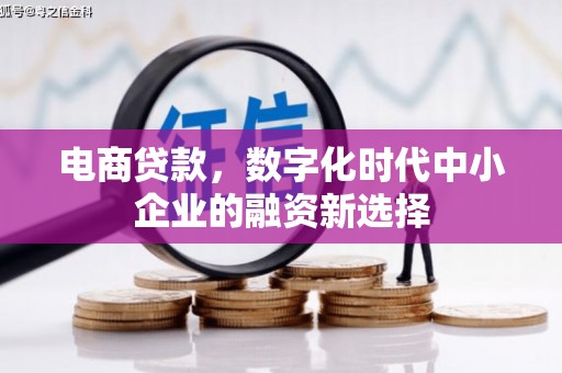 长滨电商贷款，数字化时代中小企业的融资新选择