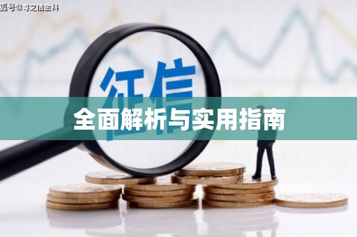 长滨全面解析与实用指南
