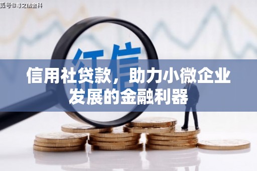 长滨信用社贷款，助力小微企业发展的金融利器