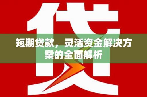 长滨短期贷款，灵活资金解决方案的全面解析