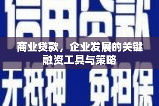长滨商业贷款，企业发展的关键融资工具与策略